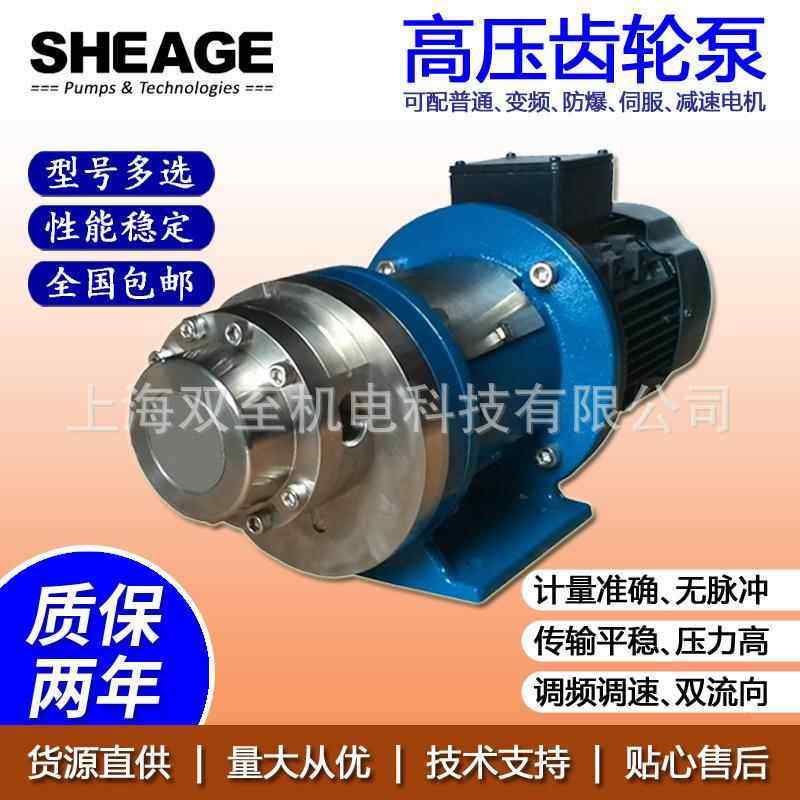 化工造纸高压齿轮泵SHEAGESG-M5S66EE0U000-9TMDX-110CS