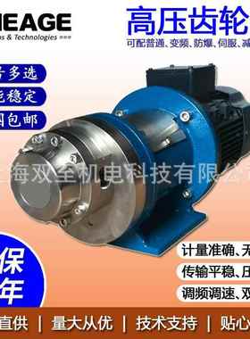 化工造纸高压齿轮泵SHEAGESG-M5S66EE0U000-9TMDX-110CS