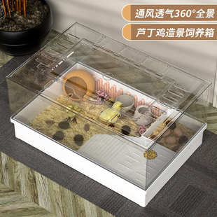 箱笼笼饲养芦丁小宠观赏造景鸡别墅鸡芦丁家用宠物用品养殖