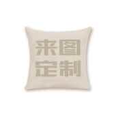 正品 抱枕定制方形异形公司log广告侣宠物图定o做宝宝绒来情亚棉麻