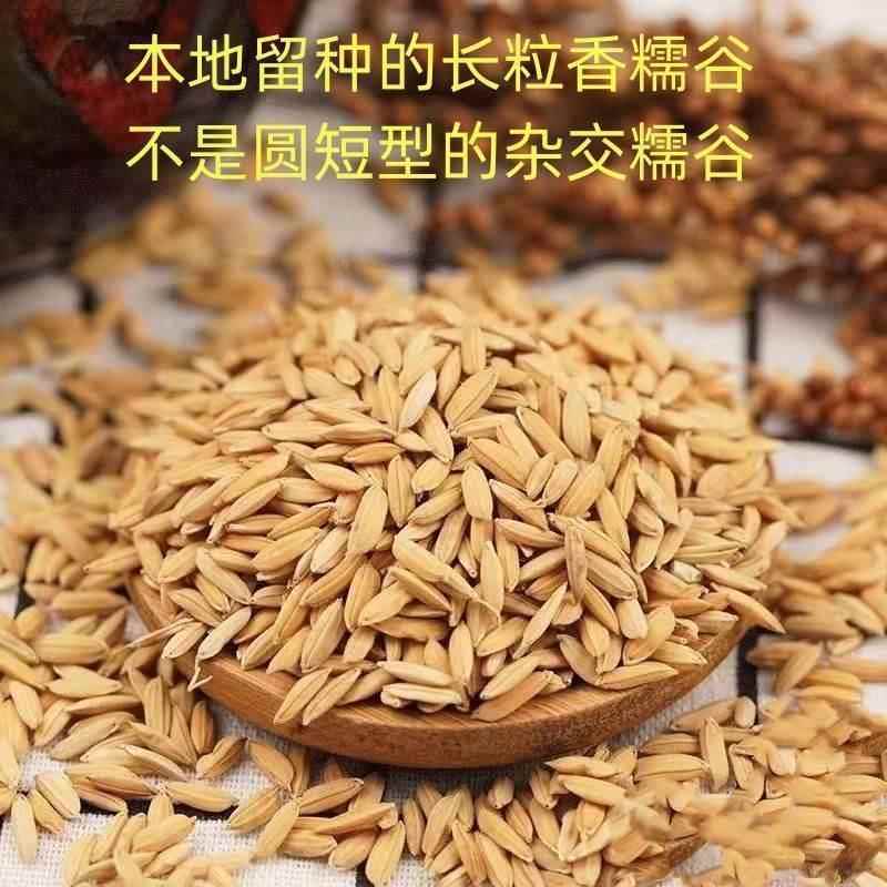 新糯谷带壳长粒稻谷糯米炒爆米花乔迁入伙进宅新居房屋结婚喜庆用