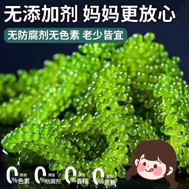 儿童海葡萄即食旗舰店新鲜绿色小孩吃的健康零食水葡萄