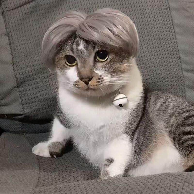 坤坤中分猫发型宠物猫麦克风套狗狗假发套浏海辫子爆炸头卖萌搞笑