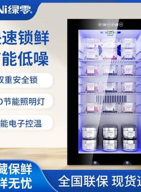 绿零小冰箱双锁食品留样柜酒店幼儿园学校餐厅冰吧家用冷藏保鲜