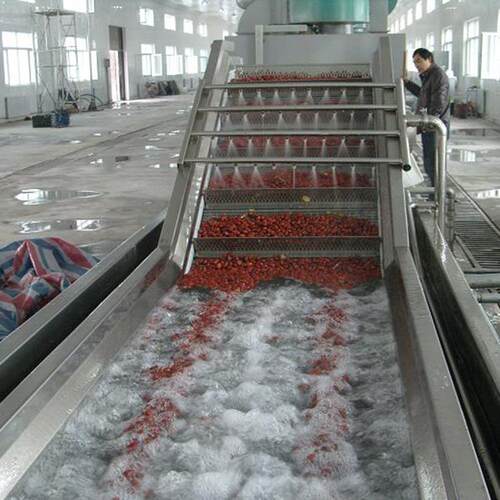 西蓝莓樱桃圣女qx-1000果红却柿水清洗机豇豆菜漂烫冷气浴泡清洗