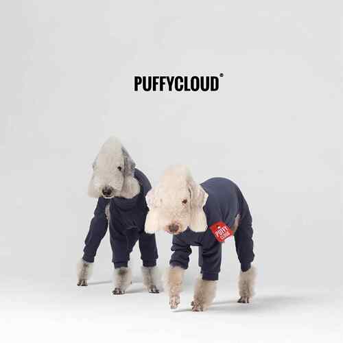 PUFFYCLOUD小队长系列 贝灵顿灵缇多颜色秋冬柔软保暖狗狗四脚衣A