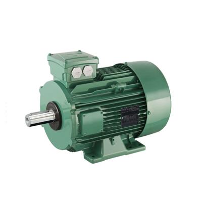 法国Leroy-Somer利莱森玛电机LS/LSES/FLS/FLSES/PLSES原装正品