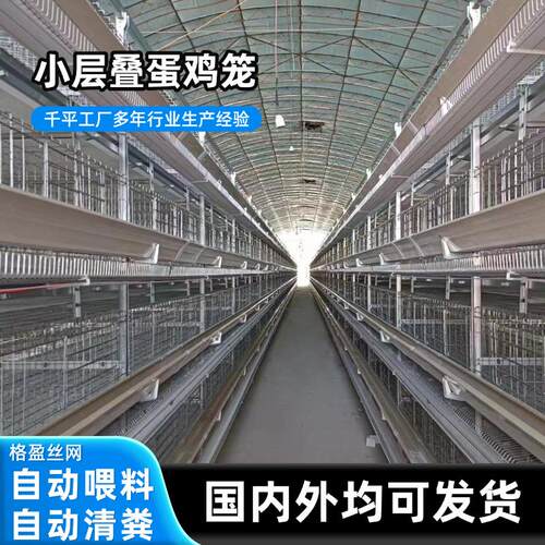 外贸全自动小层叠蛋鸡笼厂家热镀锌养殖设备自动清粪捡蛋立式鸡笼
