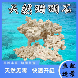 天然珊瑚海缸造景石水族珊瑚，骨滤材鱼缸假山死石活石萌爬宠躲避屋