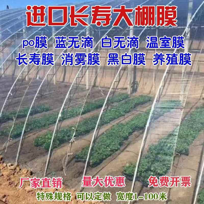 大棚膜透明加厚塑料薄膜布无滴膜po膜黑白膜防渗膜地膜农用抗老化