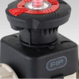 意大利FIP格林韦德FSIV075T1X0015 进口优势供货 DN65原装