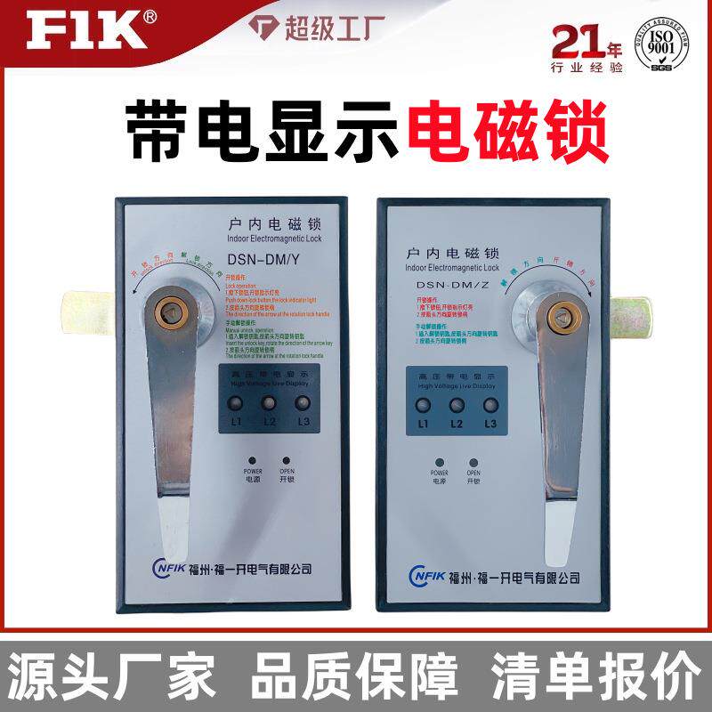 户内高压DSN-DM电磁锁带电显示 适用开关配电柜中置环网柜 福一开