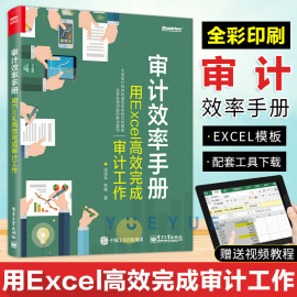 审计效率手册用excel高效完成审计工作审计效率，提升工具详解如何利用excel组合工具提升审计效率微软office书籍