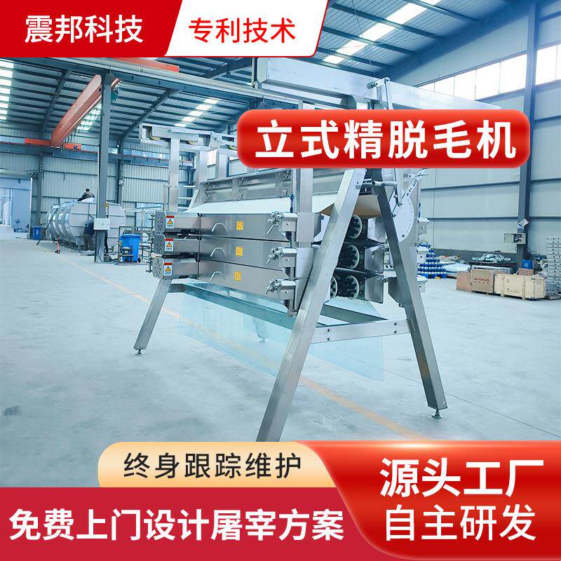震邦鸡宰杀线设备立式精脱毛机鸡鸭鹅脱毛机鹌鹑鸽子脱毛设备