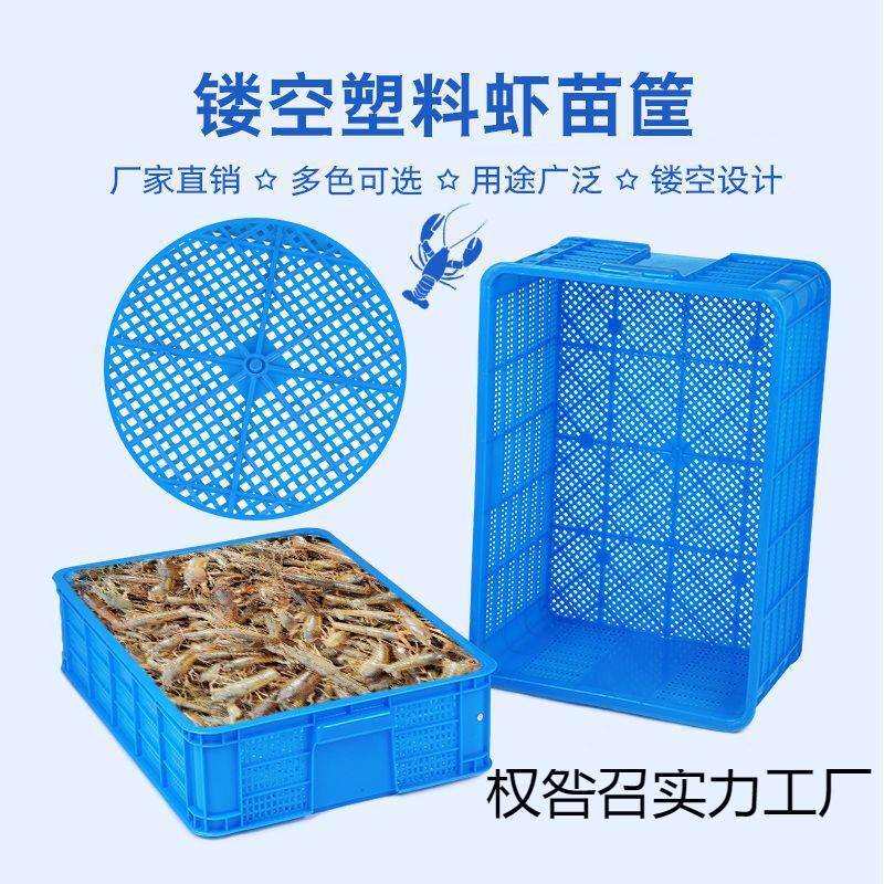 周转塑料筐长方形镂空龙虾虾苗活虾运输筐甲鱼蔬菜水果筐子密眼