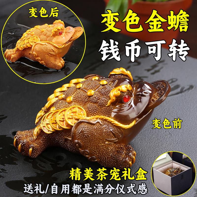 茶宠金蟾蟾蜍招财变色精品可养摆件茶玩茶台盘新款高级感高端茶桌