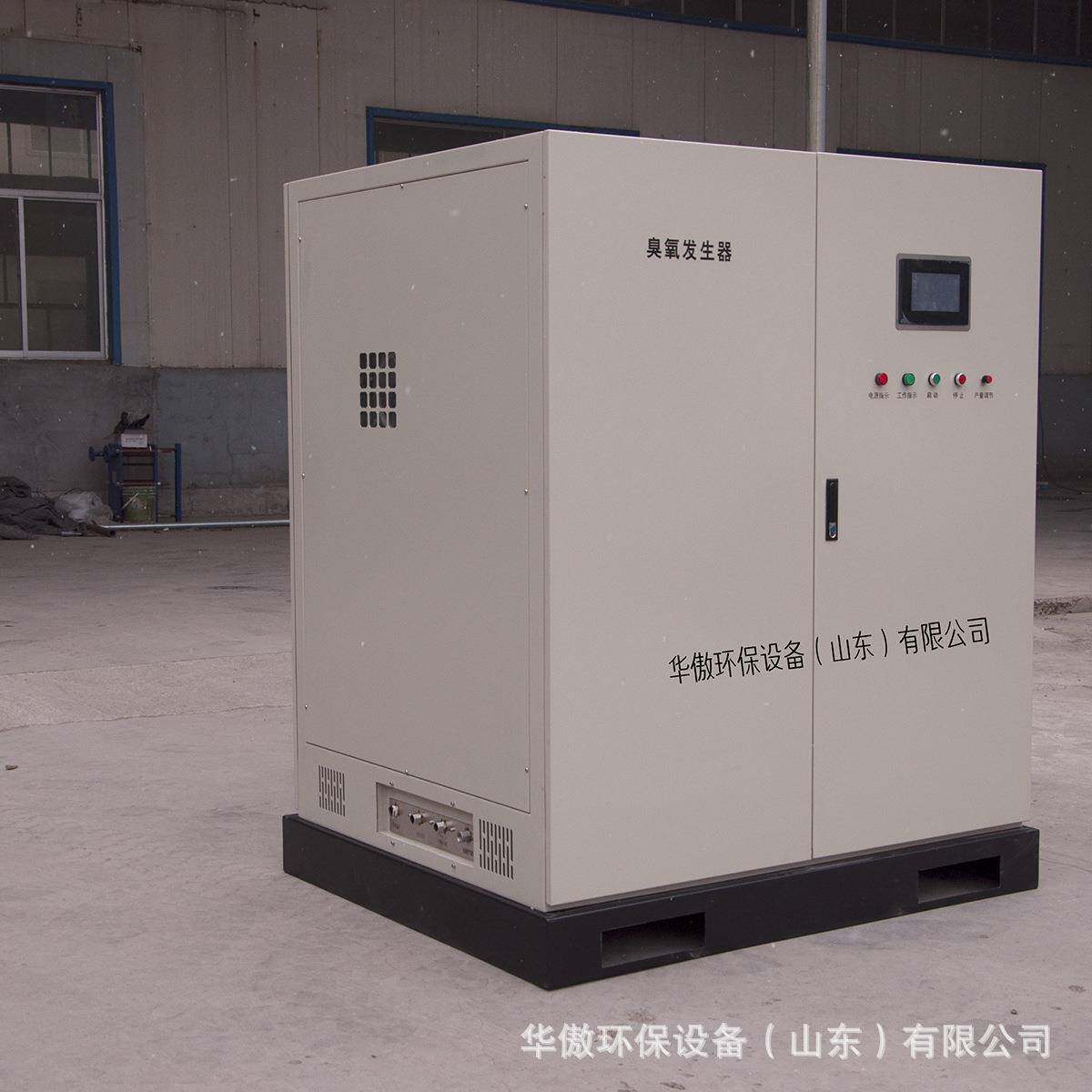 氧气源40g臭氧发生器杀菌消毒机游泳池净化臭氧消毒设备除菌