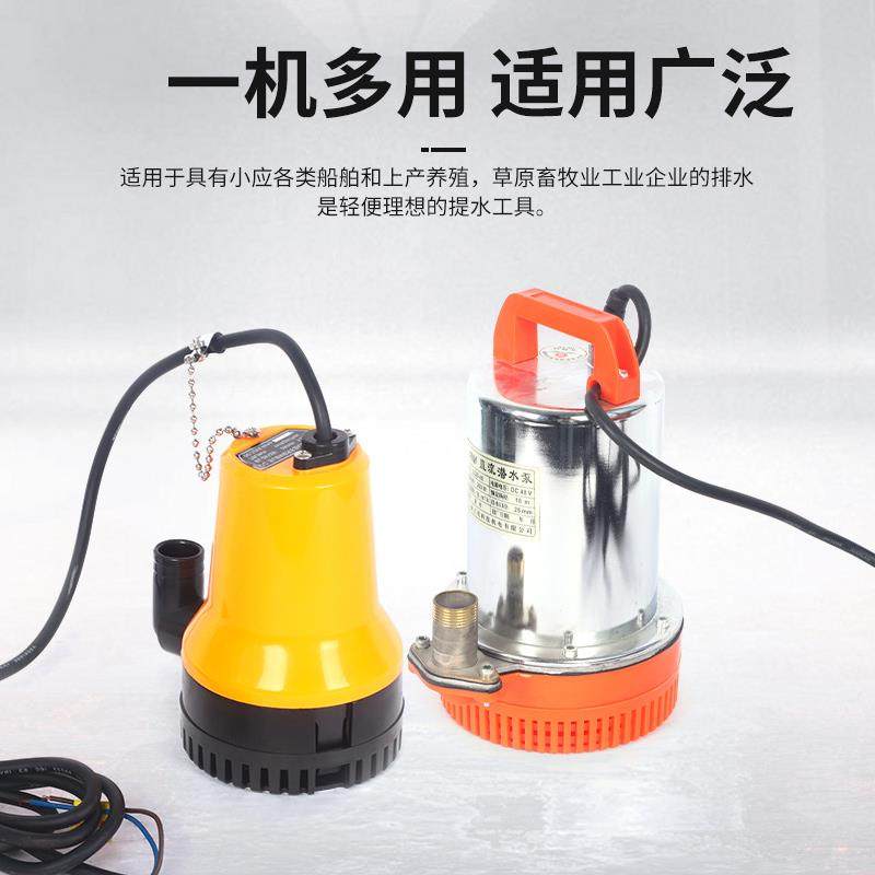 家用阳能微202v太潜水泵多级不锈钢深井直流小黄泵SOQ型鱼缸喷射