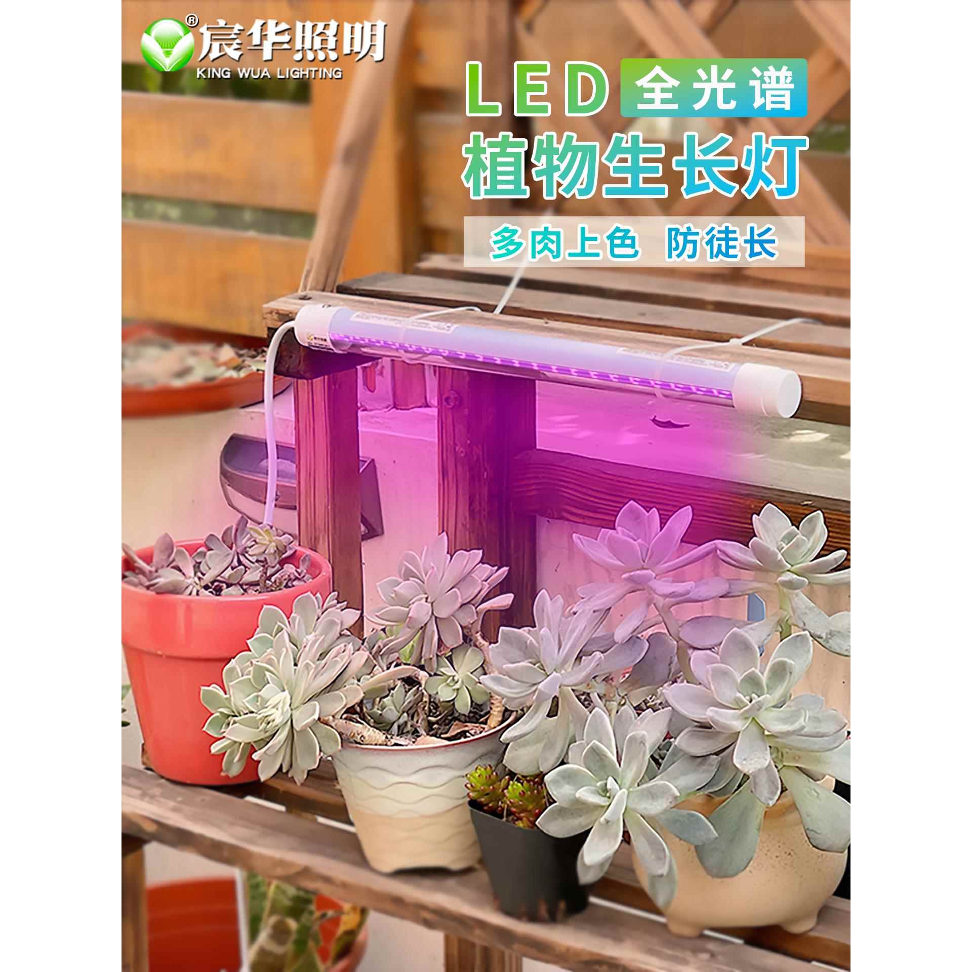 宸花T8菜肉补上光色全光谱透镜植e物长多水培育种苗卉l华d生JNT灯