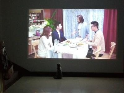 极米z6x投影仪白天看效果怎么样?亲身【求助】爆料