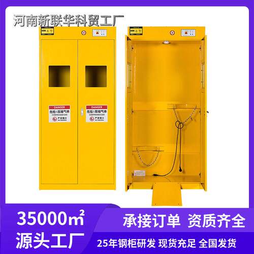 气柜安全柜全钢防爆工业乙烯氧气柜实验室智能双煤气柜