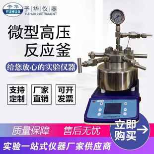 0.25 0.1 0.5L数显微型高压反应釜 B0.05 不锈钢高压反应釜TGYF