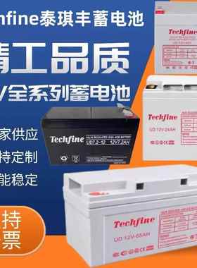 Techfine泰琪丰蓄电池UD12V100 24 38 40 65 120AH机房直流屏专用
