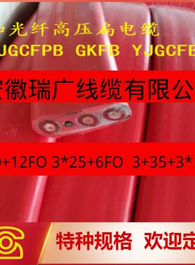 YJGCFBP-6/10KV3*16+3*16/3安徽瑞广压扁电缆3*50+12FO6FO