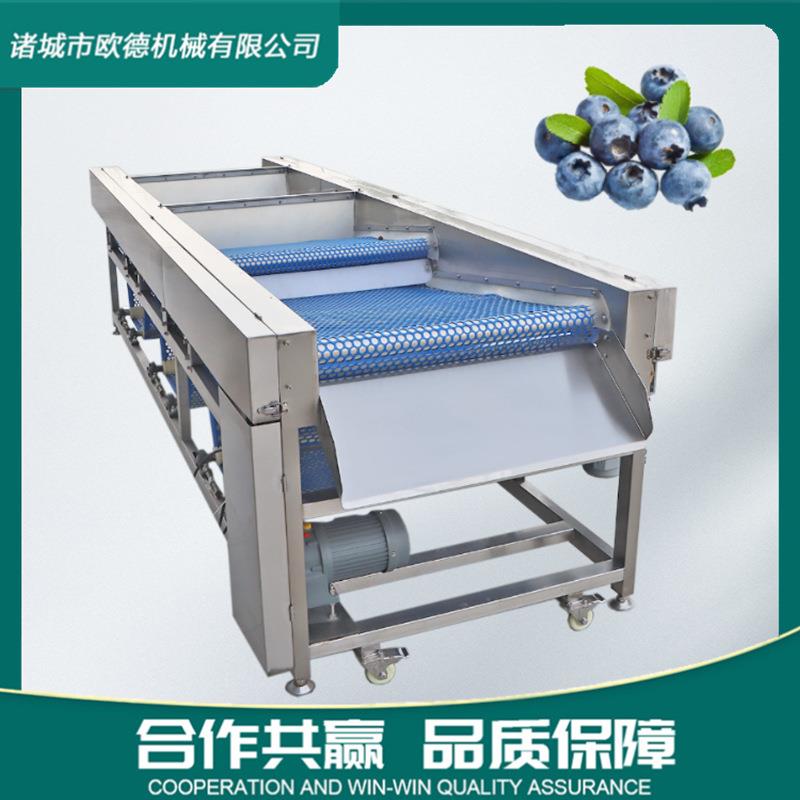 蓝莓樱桃荔枝龙眼桂圆选果机红杏千禧圣女果直径筛选皮带分选机