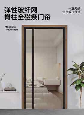防蚊防鼠门帘屋门一楼单门外开门夏天房间磁吸帘子楼房磁力入户门