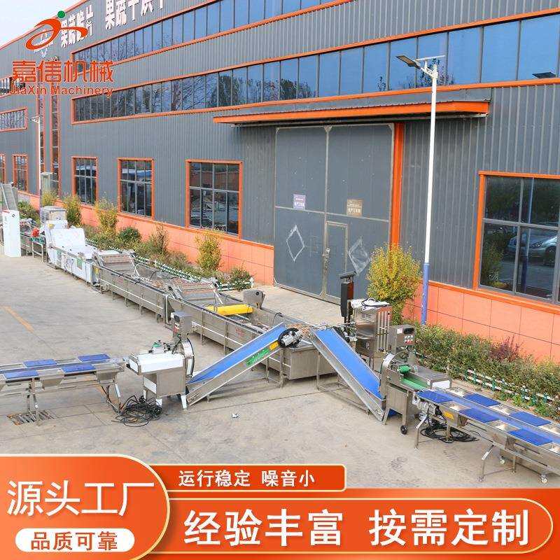 果洗蔬气泡清洗机西蓝生花菜喷青淋清机韭菜小葱GJR净菜加工设备