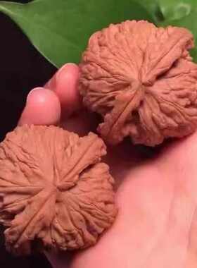 文玩核桃手把件精修精配适合新老玩家把玩的一款文玩首选