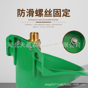 羊用饮水碗塑料羊自动饮水器牛喂水喝水碗用品大全养羊设备饮水槽