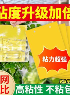 粘虫板黄板双面诱虫强黏粘蝇板灭花盆小黑飞蓝色蓟马大棚沾蚊纸贴