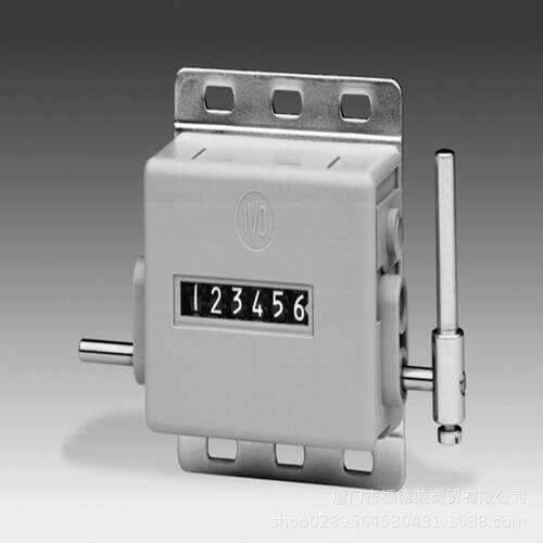 Baumer 堡盟H 300