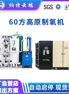PSA制氧机 大型酒店弥散设备 60方高原酒店制氧机源头厂家