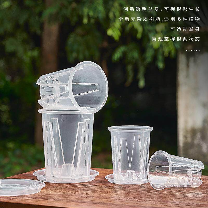 新款蝴蝶兰花盆控根盆透明青山盆文心兰盆透明塑料透气花盆兰花盆