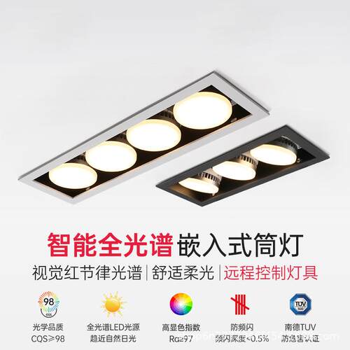 led筒灯嵌入式全光谱客厅卧室无主灯方形双头四头筒灯GX53斗胆灯