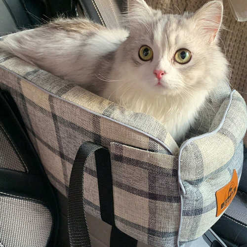 控车载椅通用猫四季狗窝狗宠物用品窝窝中宠物车载垫座汽车