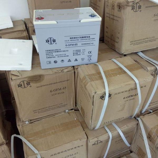 TYJD直流双登蓄电池6-GFMJ-65(LG-12) 12V65AH 胶体电池免维护型