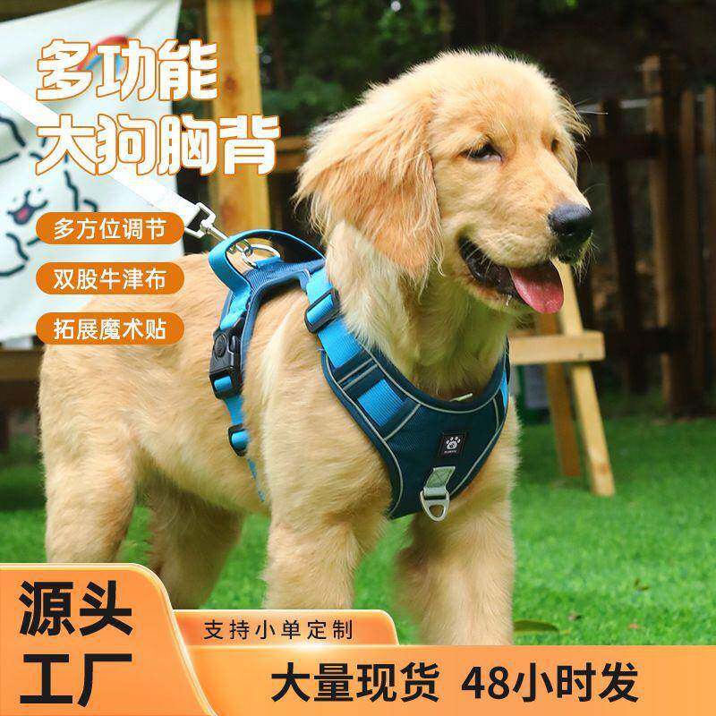 遛狗牵引绳可调节透气工字型胸背狗狗背带胸背拉布拉多哈士奇边牧