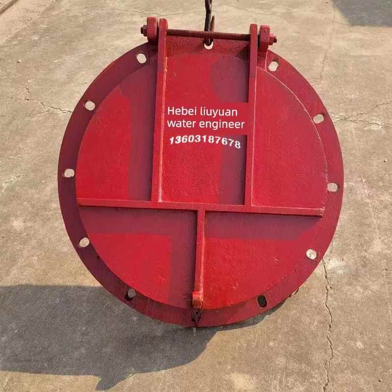 铸铁闸板门市政污水管道波纹管连接防回流水泥管道泵站闸板门自动