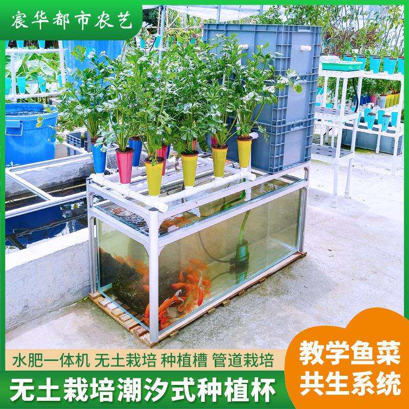 无土栽培潮汐种植水培系统阳台养花养鱼种菜共生系统教学设备种菜