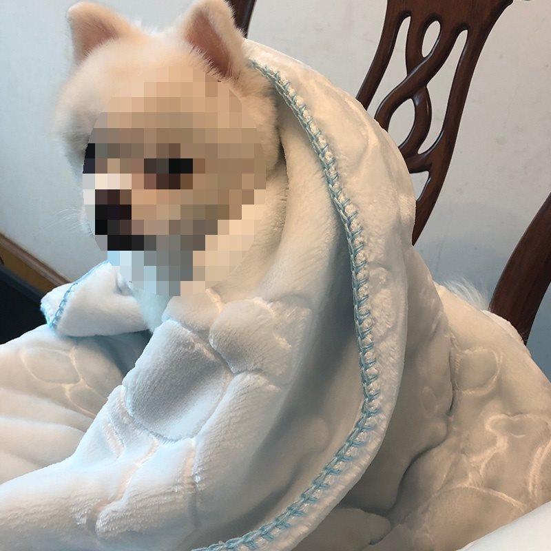 毛毯冬天保暖睡觉用冬季垫子不粘毛睡垫猫咪小毯子宠物的狗狗被子