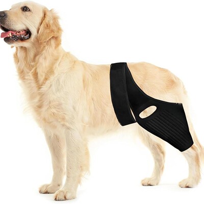 Pet Supplies: Dog Leg Protector, Joint Protector, Knee