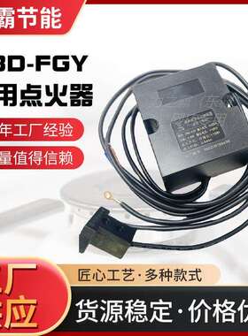DBD-FGY力之霸东霸点火器带磁控头点火器8W商用点火器