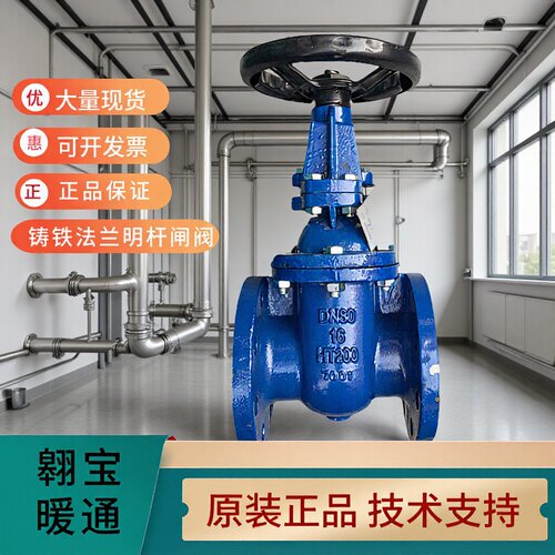 AMICO埃美柯手动加厚6196B铸铁明杆法兰闸阀DN50-DN300Z41T-16