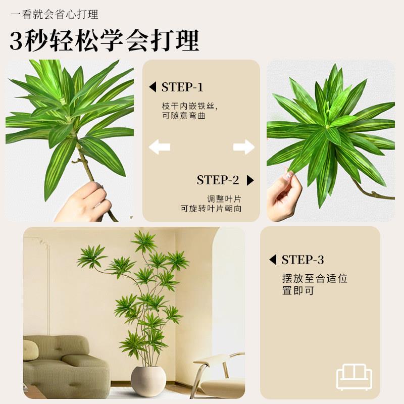 百合竹真绿色摆植物盆栽大型室装饰花客厅内件落地树彷高级彷百合