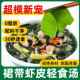 裙带菜虾皮即食汤官方旗舰店海藻紫菜汤料冲泡即食小包装 海带干