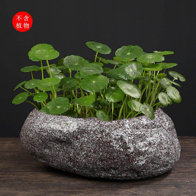 大号陶瓷花盆水仙花室内彷石头水培盆景家居创意个性铜钱草碗莲盆